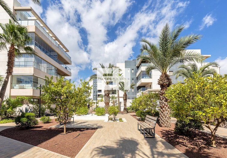 Segunda mano - Apartamento  - Orihuela Costa - Villamartín