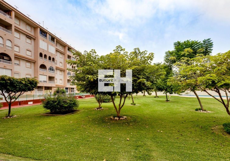 Segunda mano - Atico - Torrevieja - Centro