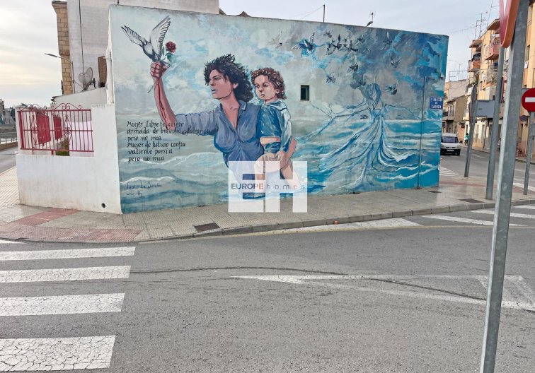 Segunda mano - Apartamento  - Formentera del Segura - Los Palacios