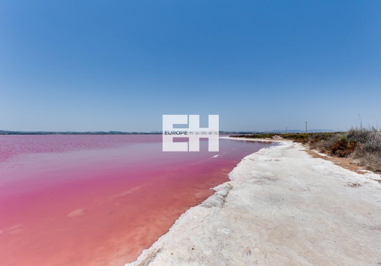 Resale - Apartment - Torrevieja - Acequion