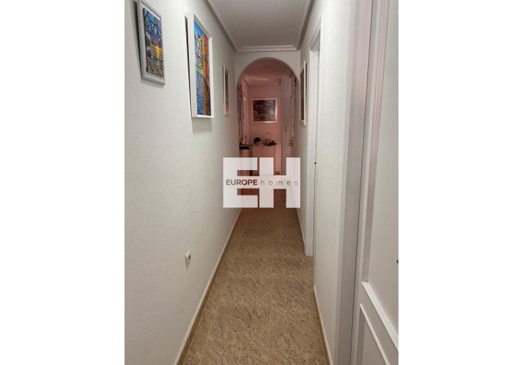 Segunda mano - Atico - Torrevieja - Estacion De Autobuses