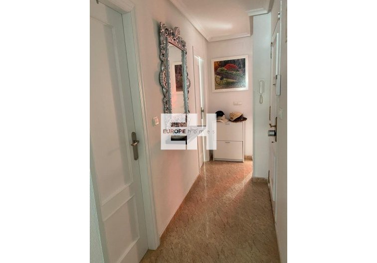 Segunda mano - Atico - Torrevieja - Estacion De Autobuses