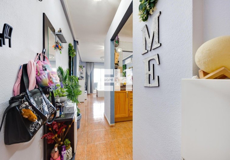 Segunda mano - Apartamento  - Torrevieja - Centro