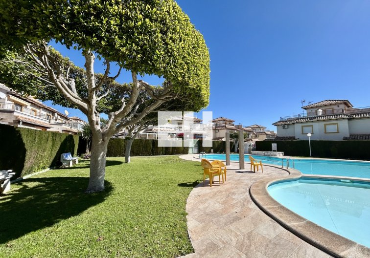 Segunda mano - Apartamento  - Punta Prima - Costa Blanca