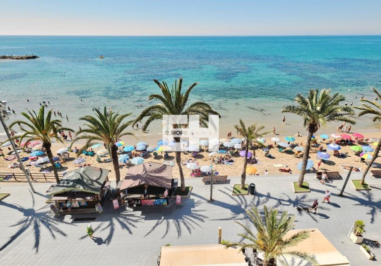Segunda mano - Apartamento  - Torrevieja - Playa del Cura