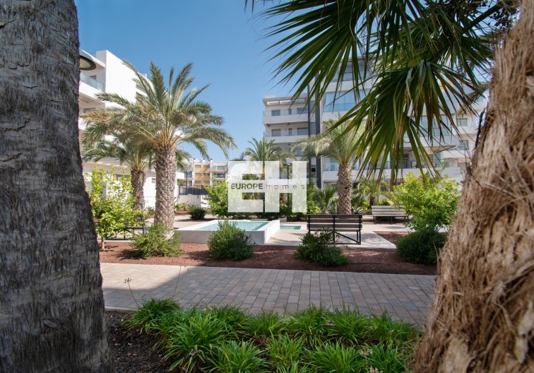 Segunda mano - Apartamento  - Orihuela Costa - Los Dolses