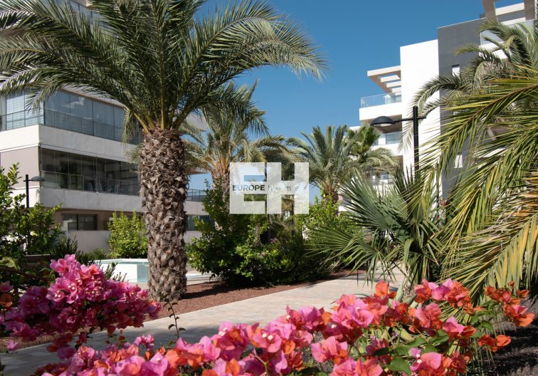 Segunda mano - Apartamento  - Orihuela Costa - Los Dolses