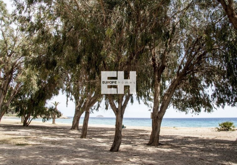 Obra Nueva - Apartamento  - Villajoyosa - Playa Les Torres