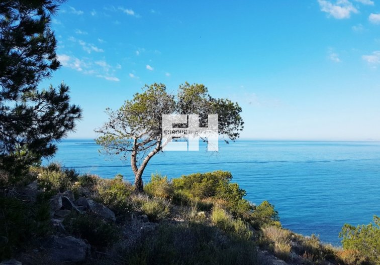 Obra Nueva - Apartamento  - Villajoyosa - Playa Les Torres