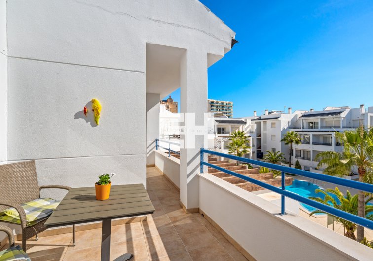 Segunda mano - Apartamento  - Torrevieja - Costa Blanca