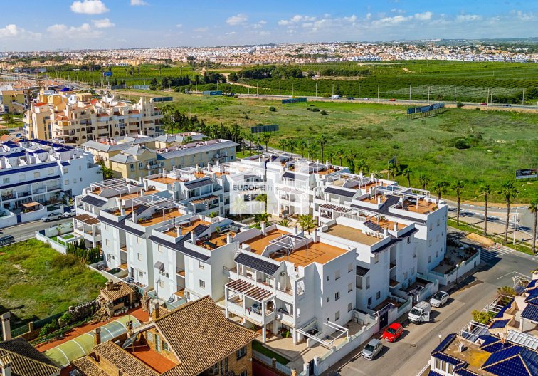 Segunda mano - Apartamento  - Torrevieja - Costa Blanca