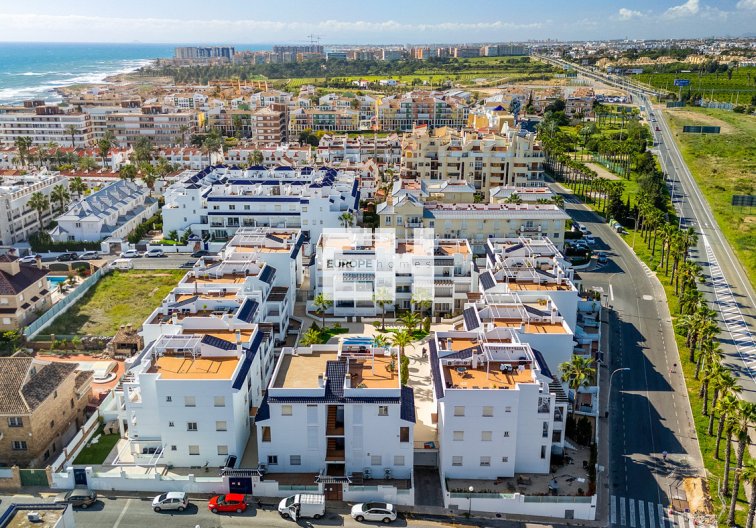 Segunda mano - Apartamento  - Torrevieja - Costa Blanca
