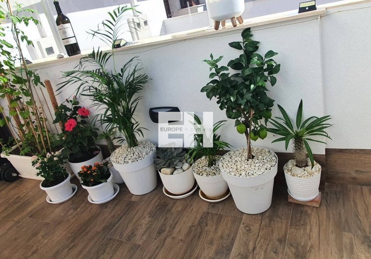 Segunda mano - villa - San Pedro del Pinatar - Centro