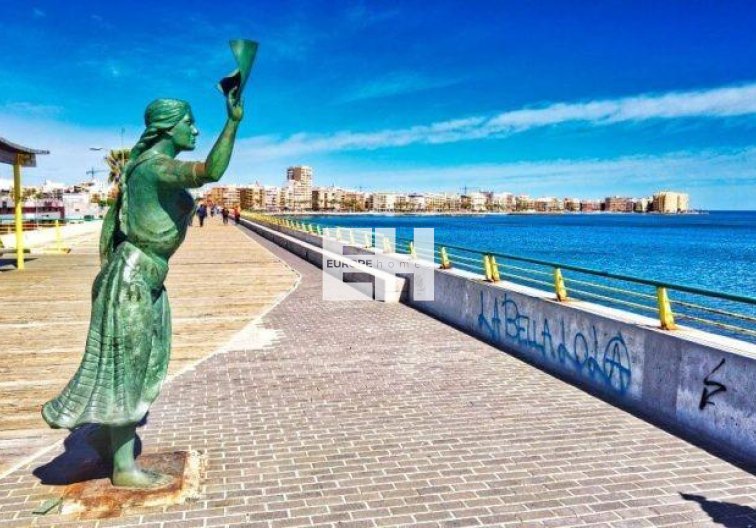Obra Nueva - Atico - Torrevieja - Playa de los Locos