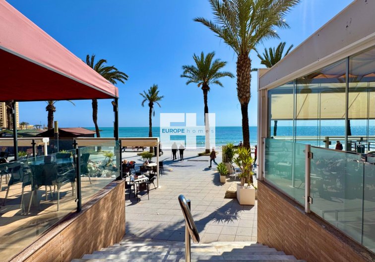 Segunda mano - Apartamento  - Torrevieja - Estacion De Autobuses