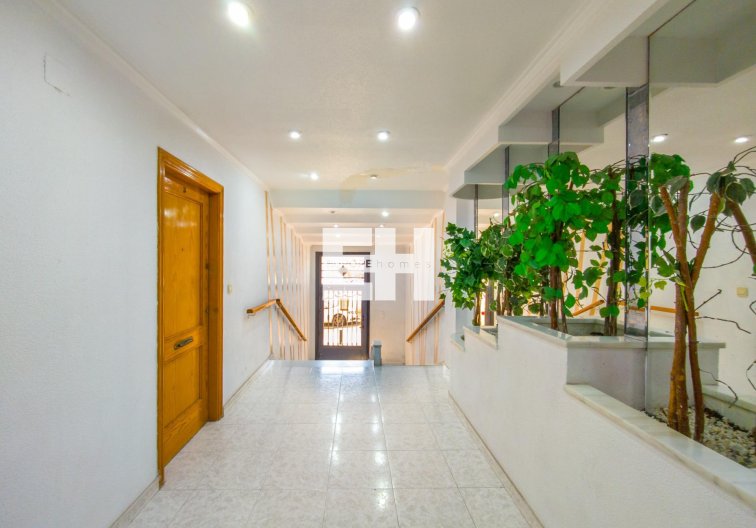 Segunda mano - Apartamento  - Torrevieja - Estacion De Autobuses