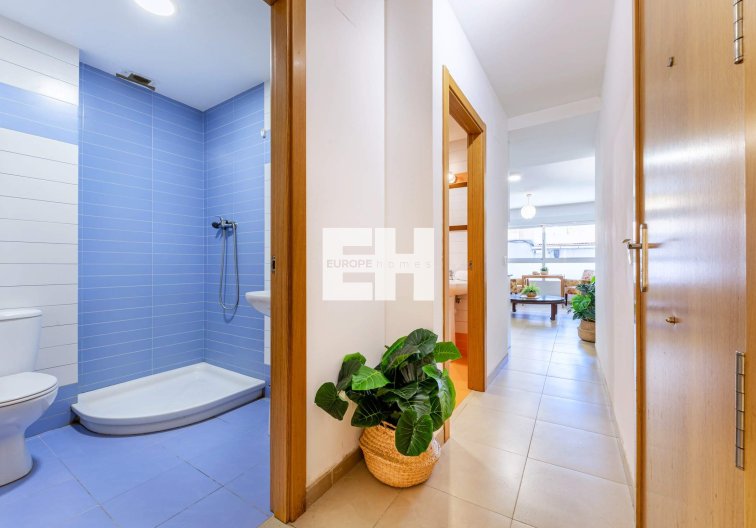 Segunda mano - Apartamento  - Alicante - Carolinas Bajas