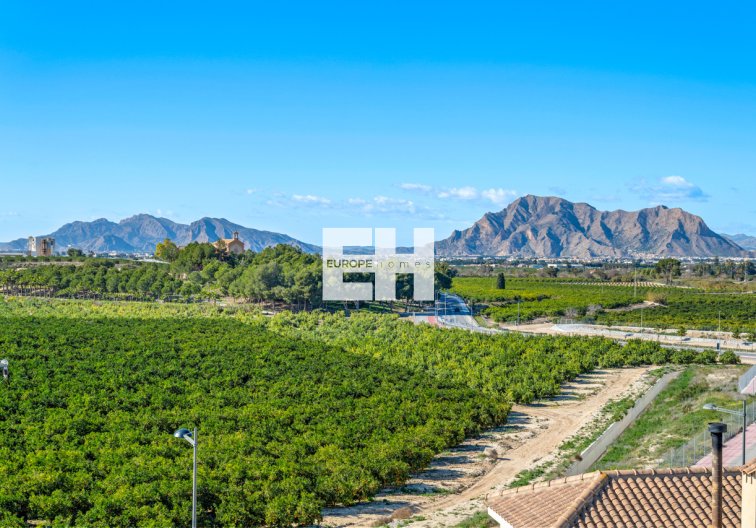 Segunda mano - Apartamento  - Algorfa - Inland