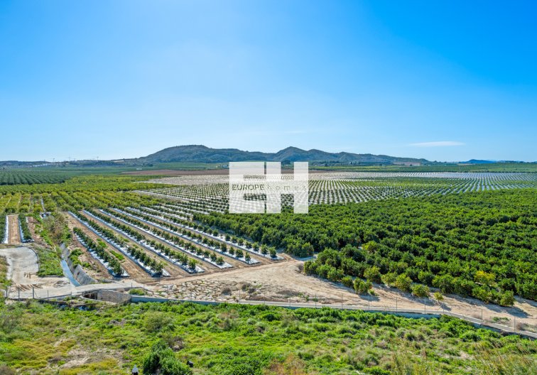 Segunda mano - Apartamento  - Algorfa - Inland