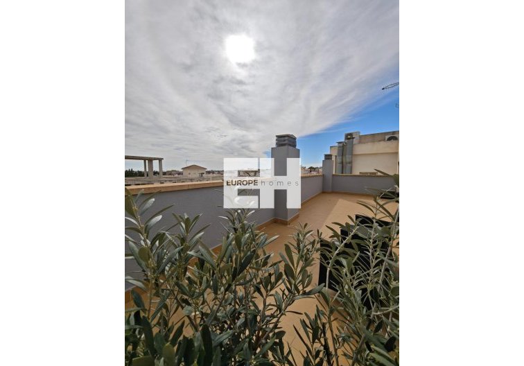 Segunda mano - Apartamento  - San Miguel de Salinas - Pueblo 9