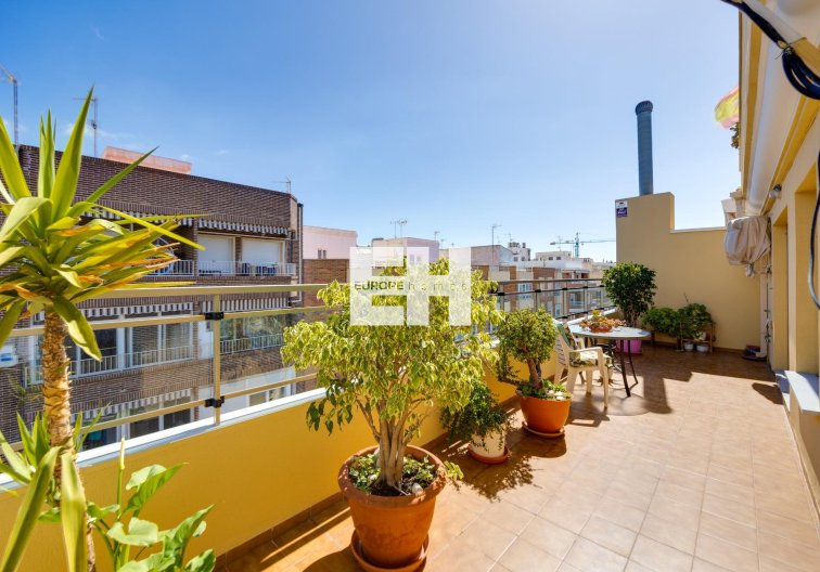 Segunda mano - Atico - Torrevieja - Centro
