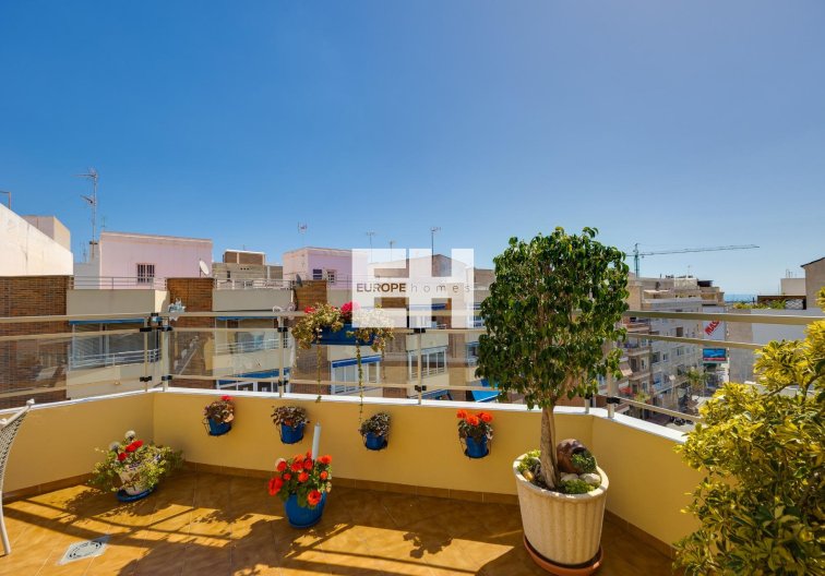Segunda mano - Atico - Torrevieja - Centro