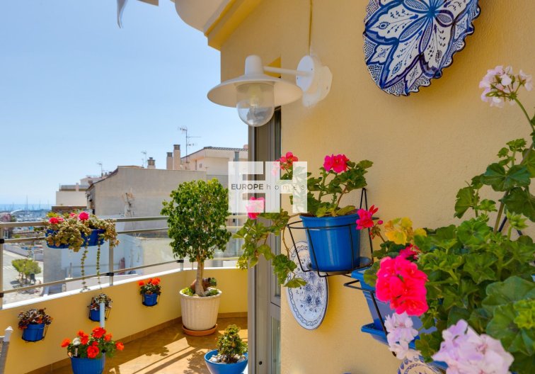 Segunda mano - Atico - Torrevieja - Centro