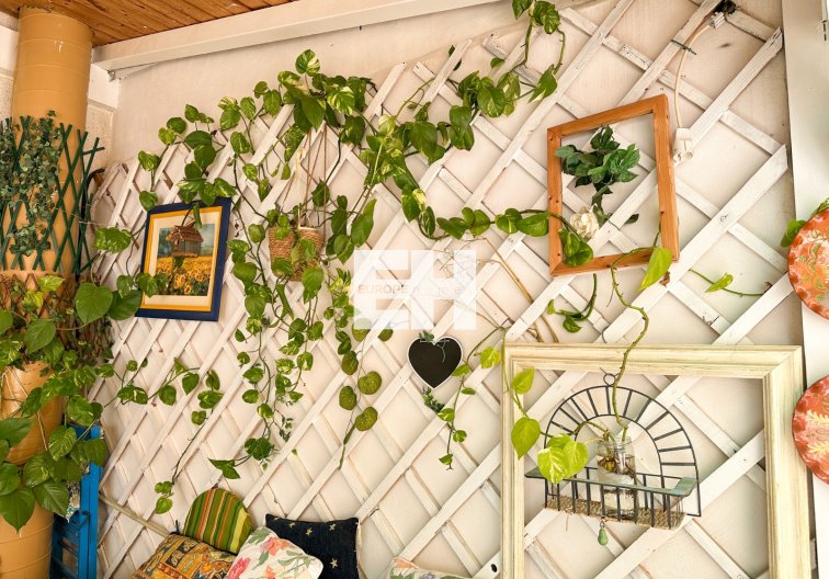 Segunda mano - Apartamento  - Torrevieja - Costa Blanca