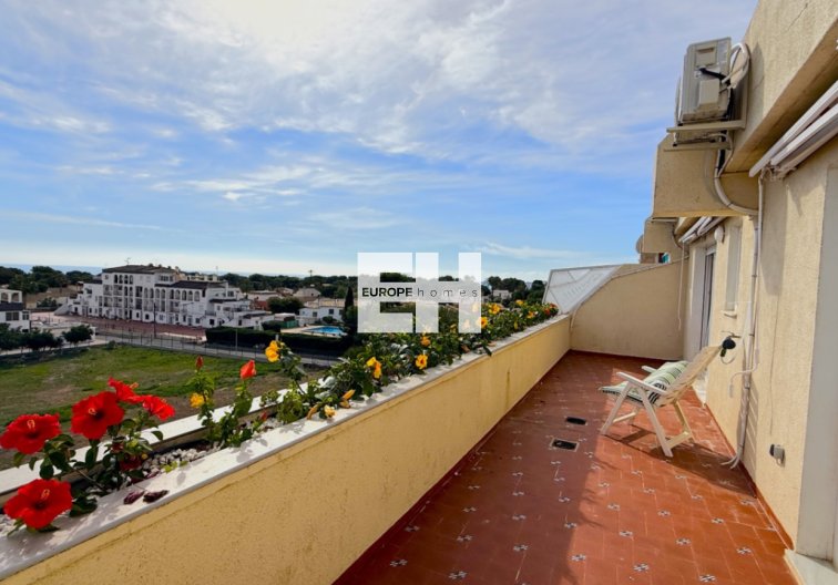 Segunda mano - Atico - Torrevieja - Costa Blanca