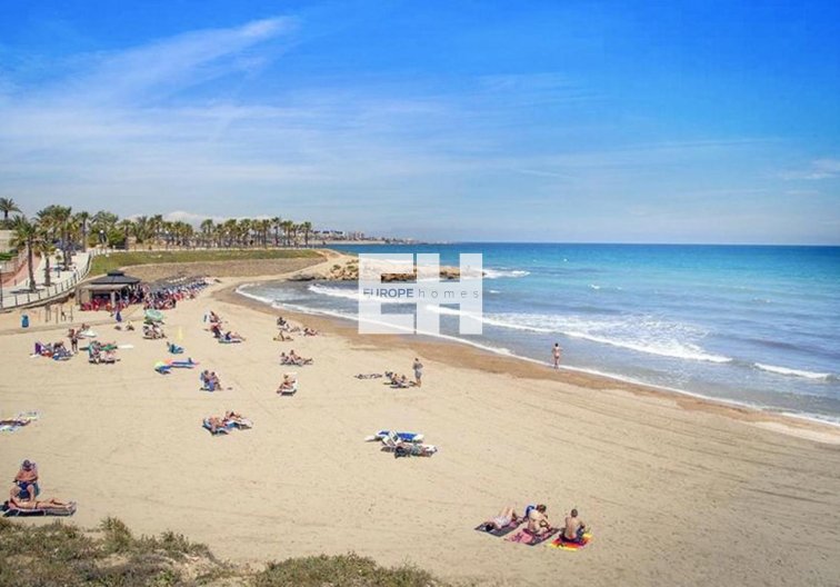 Segunda mano - Apartamento  - Orihuela - Inland