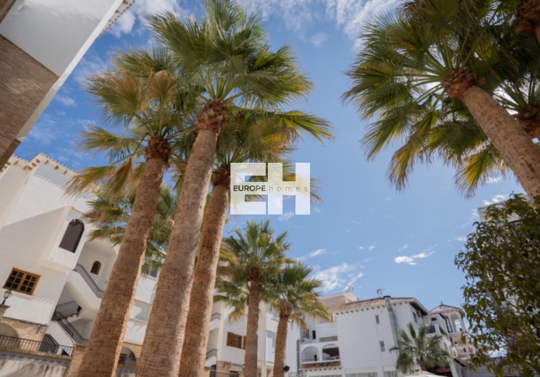 Herverkoop - Appartement - Orihuela - Inland