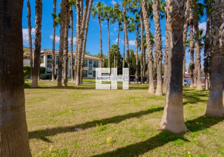 Herverkoop - Appartement - Orihuela - Inland