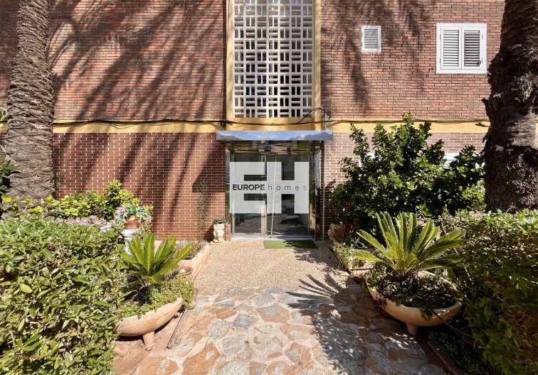 Segunda mano - Apartamento  - La Zenia - Costa Blanca