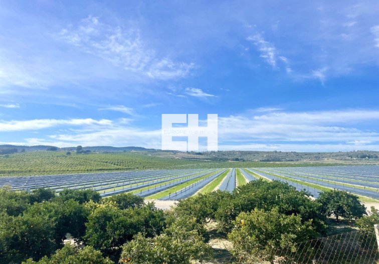 Resale - Apartment - Orihuela Costa - Costa Blanca