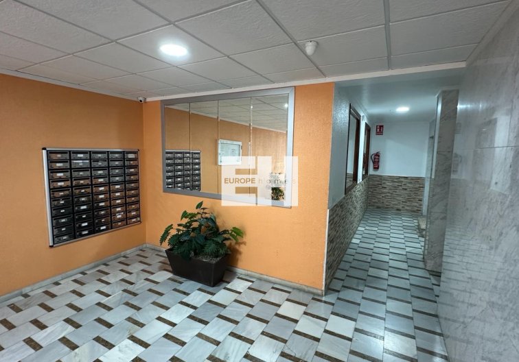 Segunda mano - Apartamento  - Torrevieja - Costa Blanca