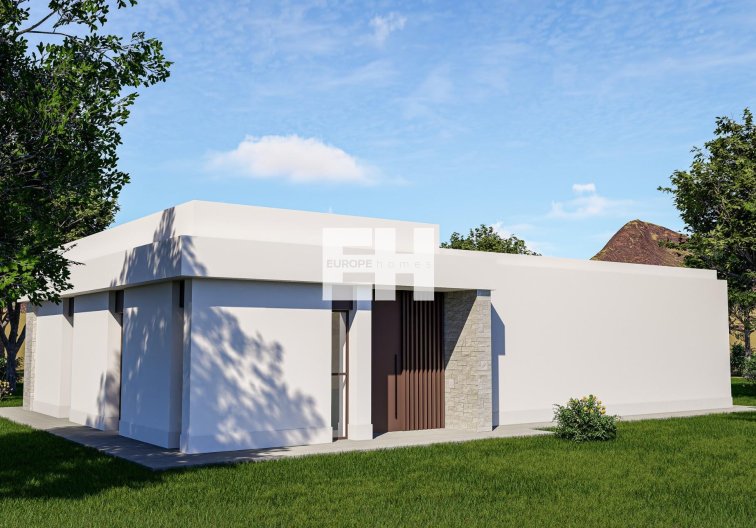 Obra Nueva - villa - Pinoso - Lel