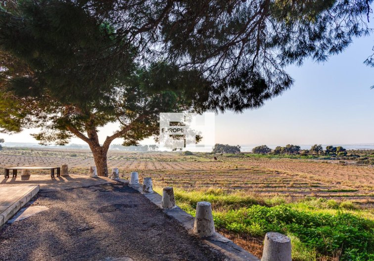 Segunda mano - Bungalow - Torrevieja - La Siesta - El Salado - Torreta