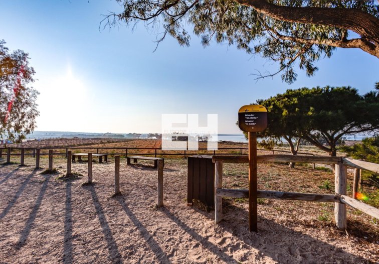 Segunda mano - Bungalow - Torrevieja - La Siesta - El Salado - Torreta