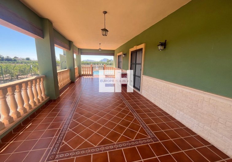 Segunda mano - Finca - Daya Nueva - La Bodega