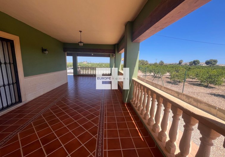 Segunda mano - Finca - Daya Nueva - La Bodega