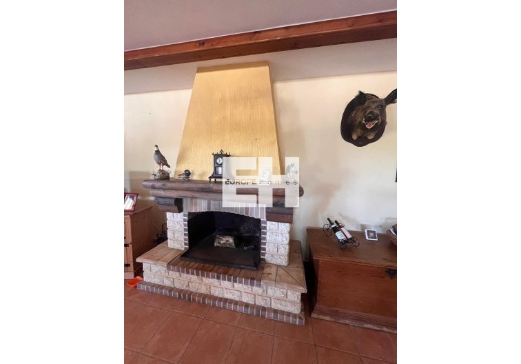 Segunda mano - Finca - Daya Nueva - La Bodega
