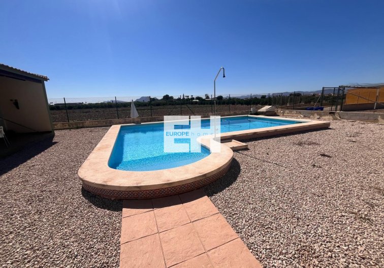 Segunda mano - Finca - Daya Nueva - La Bodega