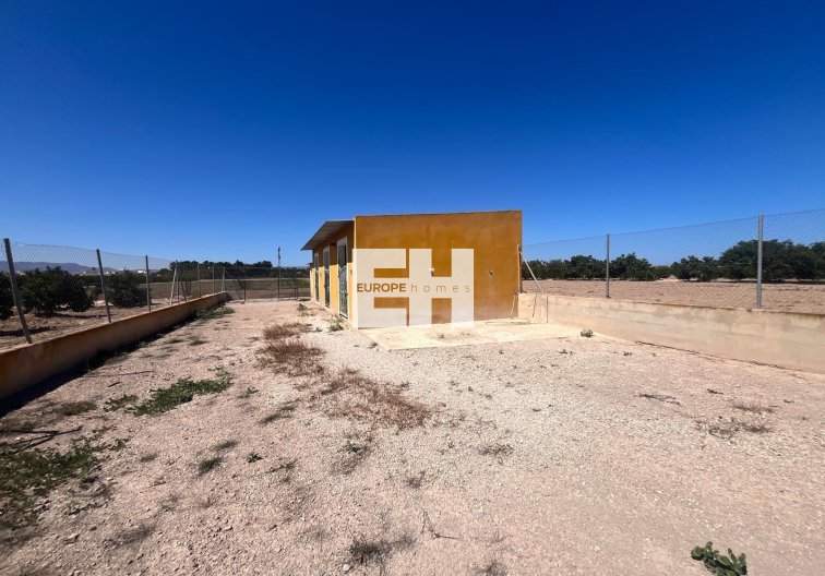 Segunda mano - Finca - Daya Nueva - La Bodega