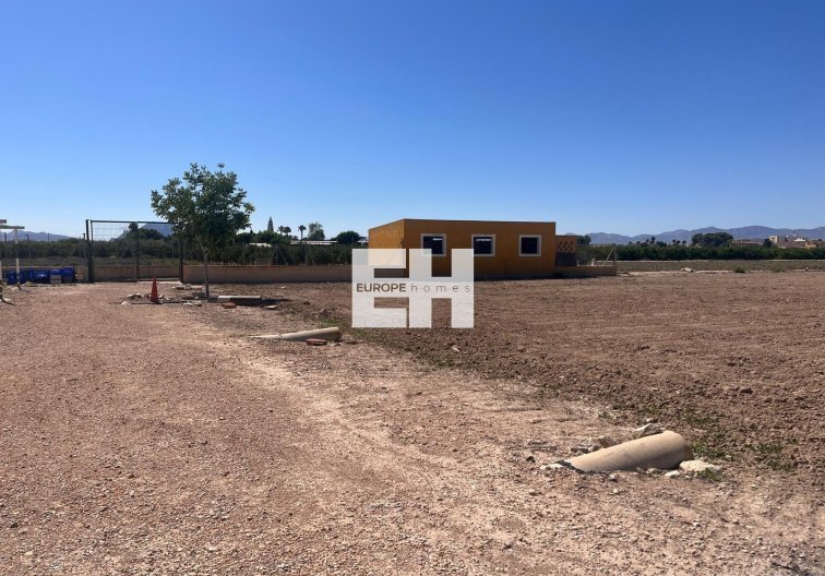 Segunda mano - Finca - Daya Nueva - La Bodega