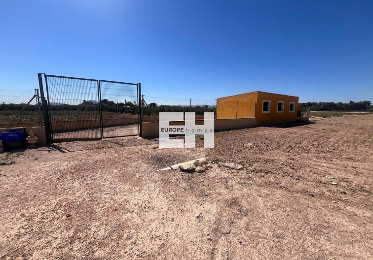 Segunda mano - Finca - Daya Nueva - La Bodega