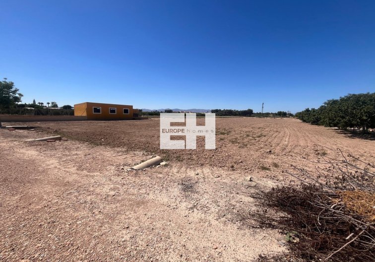 Segunda mano - Finca - Daya Nueva - La Bodega