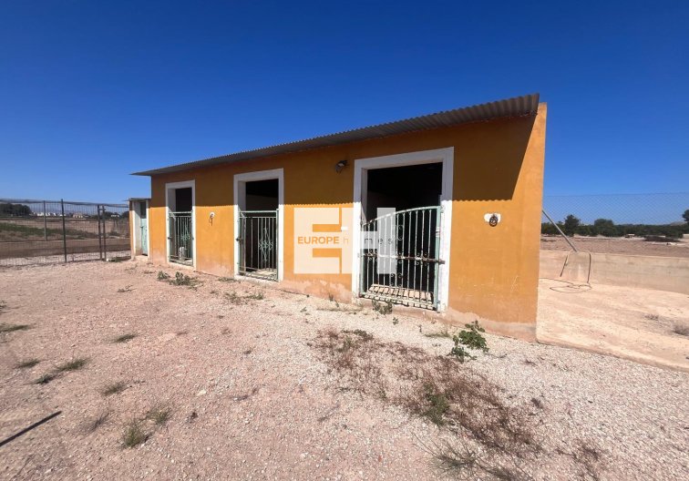 Segunda mano - Finca - Daya Nueva - La Bodega