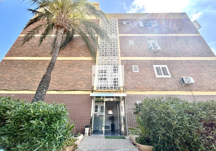 Segunda mano - Apartamento  - La Zenia - Costa Blanca