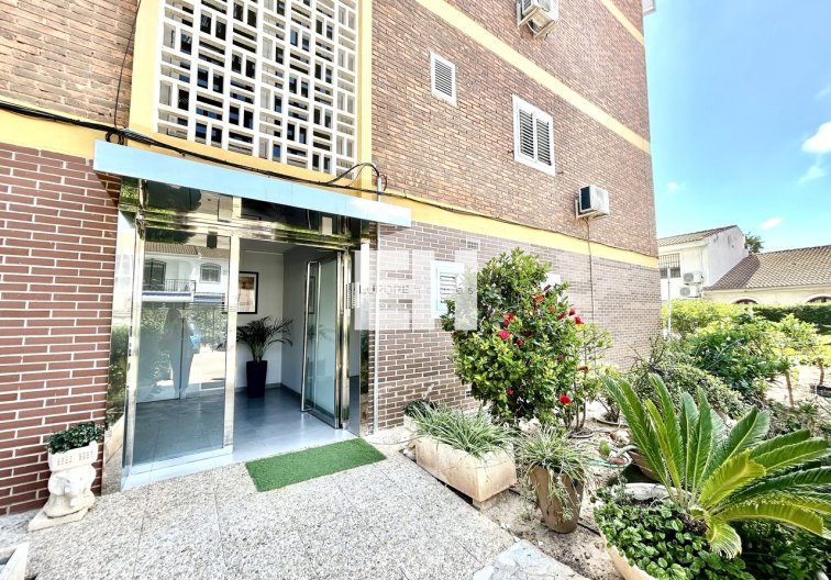 Segunda mano - Apartamento  - La Zenia - Costa Blanca