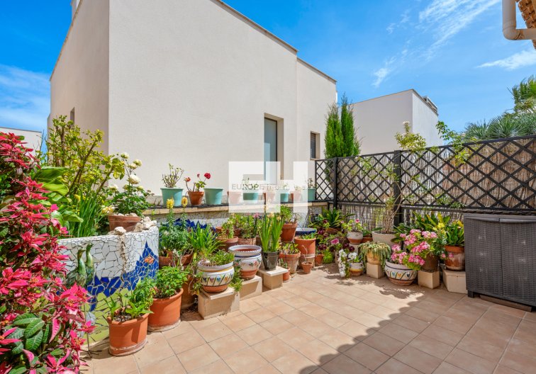 Segunda mano - town house - San Miguel de Salinas - Inland